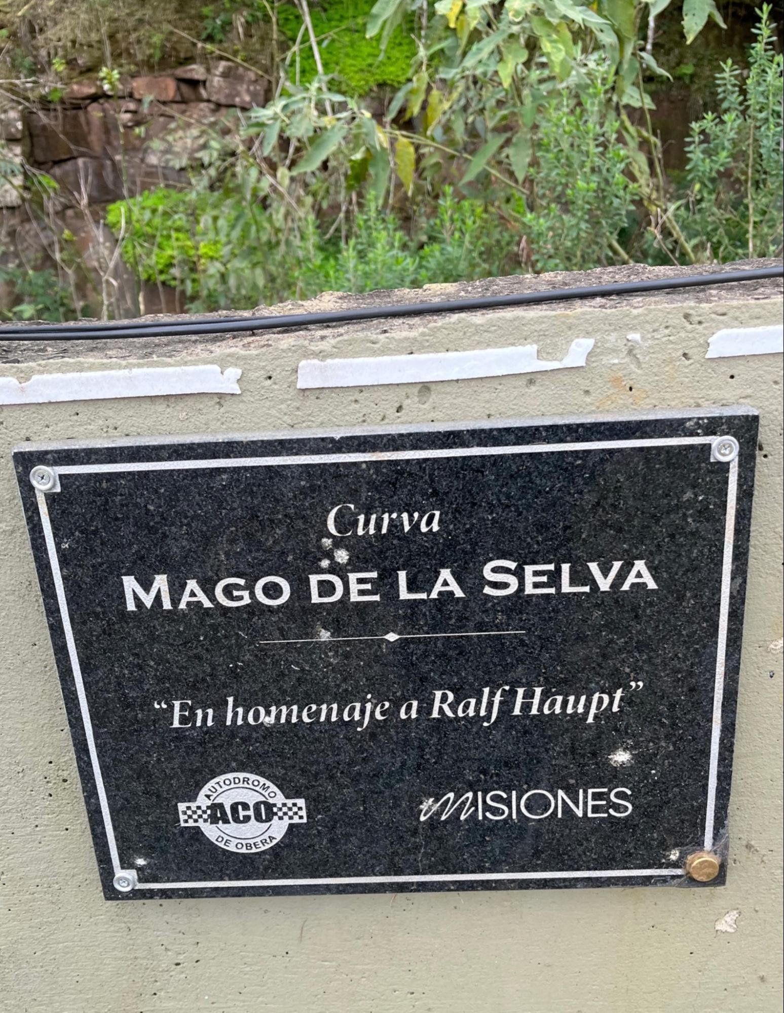 Curvas Curvas