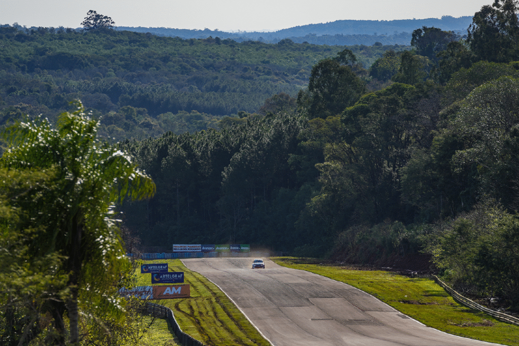 Curvas
