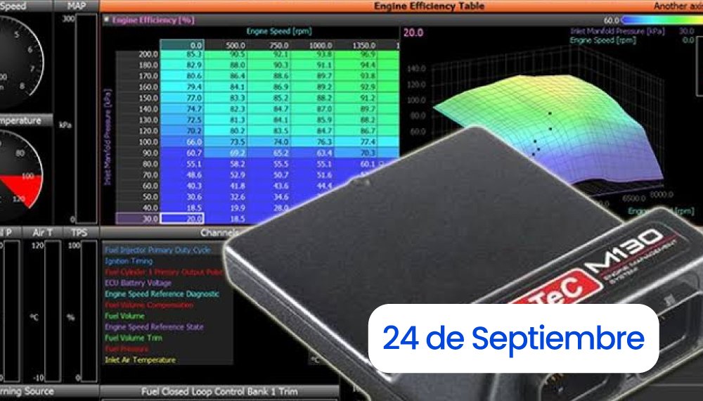 WEBINAR GRATUITO